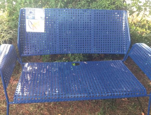 Un banc bleu au parc du Fort Louis