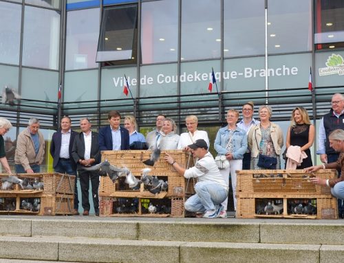Le Messager de Coudekerque-Branche