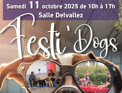 Une journée 100 % dédiée à nos amis à quatre pattes