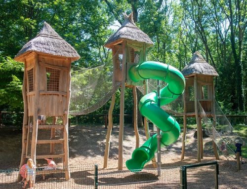 Plus de bois, moins de plastique