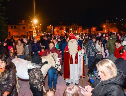 Défilez avec Saint-Martin et son âne