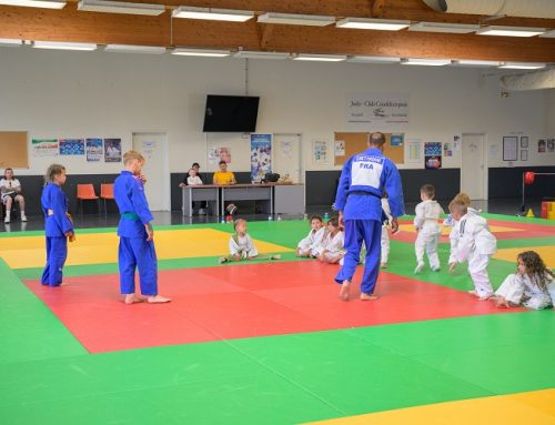 Le club de Judo récompensé