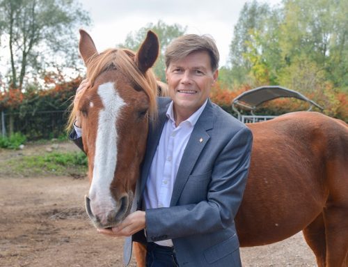 Trois nouveaux compagnons aux Écuries de Vernaelde
