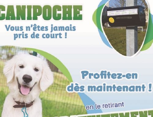 La propreté des rues : un enjeu de toute l&rsquo;année