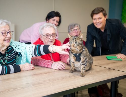 Après-midi zoothérapie par La patte du coeur
