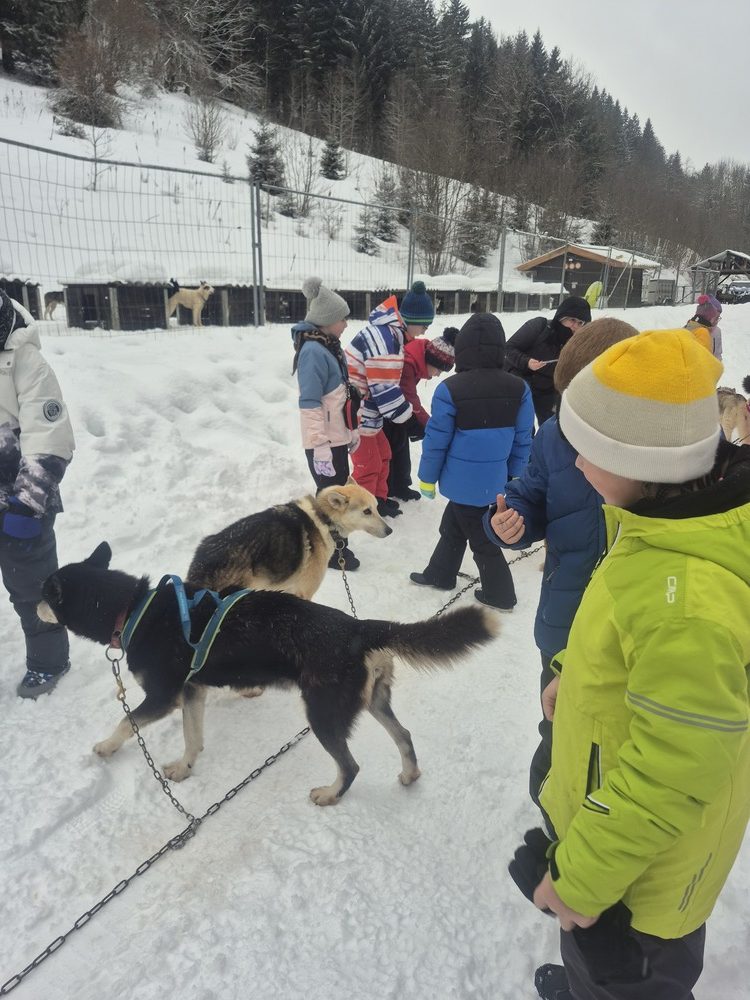 sejour-1-17022026 (8)