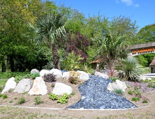 Le printemps : c’est la saison des nouveaux massifs en ville