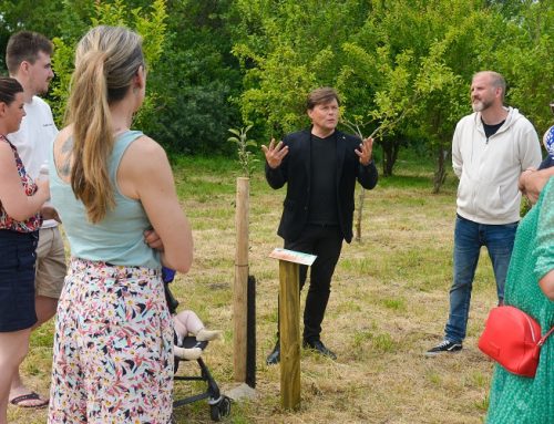 Cérémonie un arbre, un nouveau-né