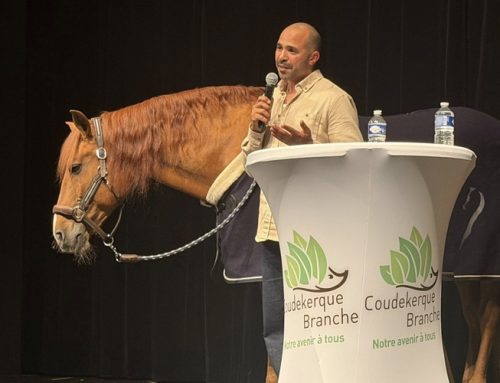 Moment d’émotion à Jean Vilar avec le cheval Peyo