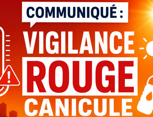 Canicule : la Ville renforce ses mesures et appelle à la vigilance pour les écoles