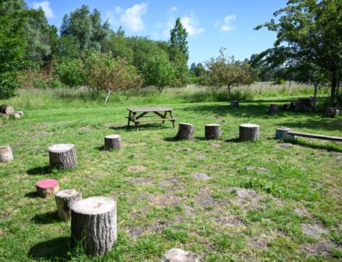 Faire classe en plein air : tous les élèves en rêvent