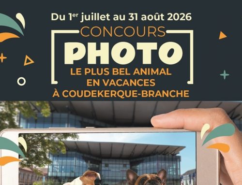 Concours du plus bel animal en vacances