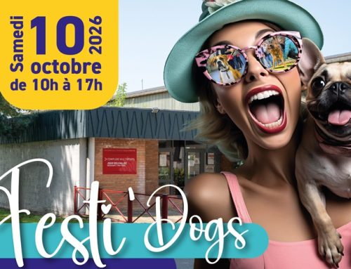 Festi’Dogs 2e édition